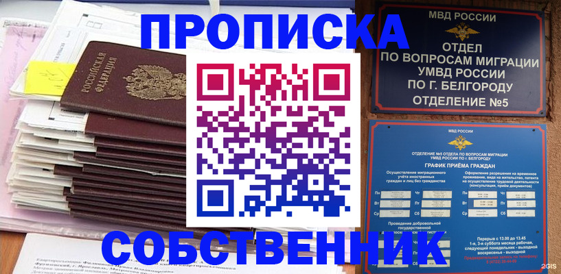 прописка законно в Светлограде